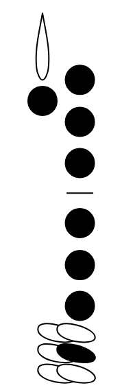 Screen Shot 2018-07-23 at 13.28.13